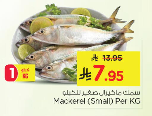 available at نستو in مملكة العربية السعودية, السعودية, سعودية - الخبر‎