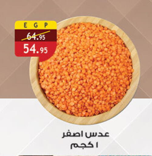available at الرايه  ماركت in Egypt - القاهرة
