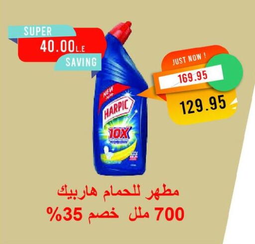 هاربيك منظف المرحاض / البالوعة available at مترو ماركت in Egypt - القاهرة