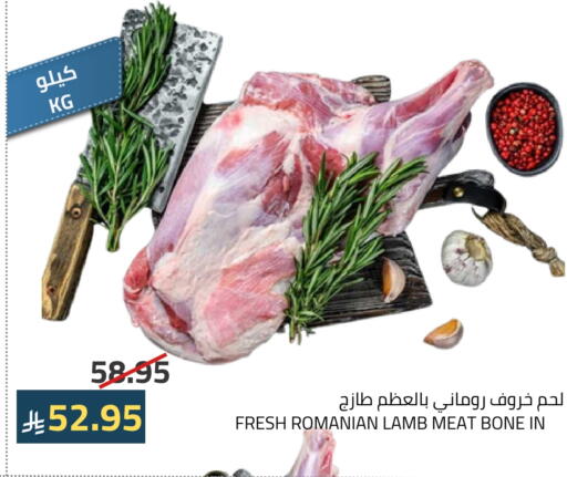 لحم الضأن / الغنم available at أسواق أسترا in مملكة العربية السعودية, السعودية, سعودية - تبوك