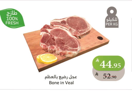 لحم عجل available at الراية in مملكة العربية السعودية, السعودية, سعودية - ينبع