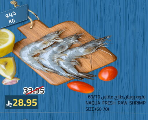 available at أسواق أسترا in مملكة العربية السعودية, السعودية, سعودية - تبوك