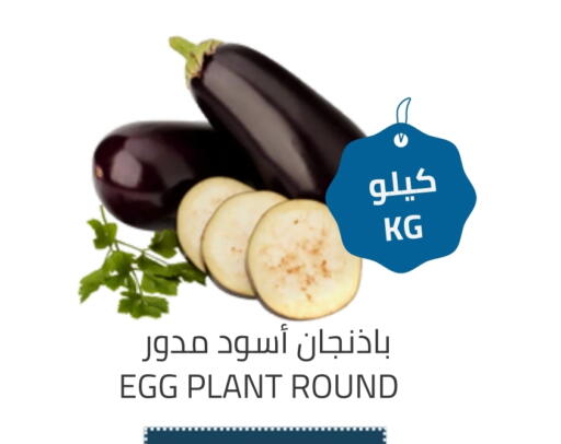 available at Astra Markets in KSA, Saudi Arabia, Saudi - Tabuk