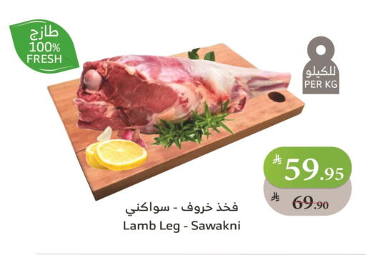 لحم الضأن / الغنم available at الراية in مملكة العربية السعودية, السعودية, سعودية - ينبع