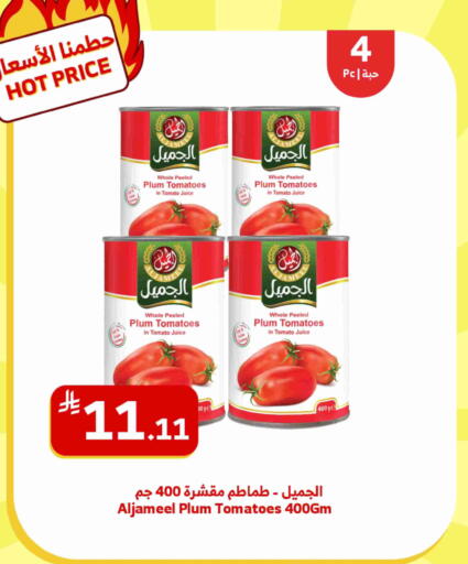 Plum Tomato available at الراية in مملكة العربية السعودية, السعودية, سعودية - تبوك