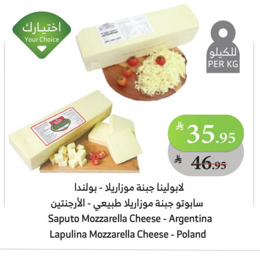 Mozzarella available at Al Raya in KSA, Saudi Arabia, Saudi - Al Bahah