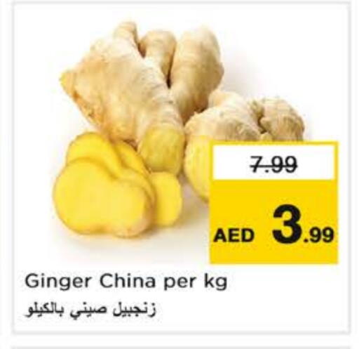زنجبيل from China available at نستو هايبرماركت in الإمارات العربية المتحدة , الامارات - ٱلْعَيْن‎