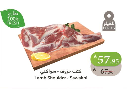 لحم الضأن / الغنم available at الراية in مملكة العربية السعودية, السعودية, سعودية - ينبع