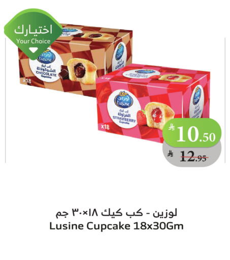 Strawberry available at الراية in مملكة العربية السعودية, السعودية, سعودية - ينبع