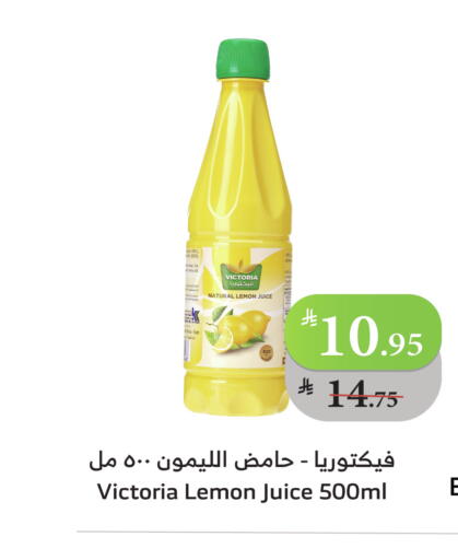 Lemon available at الراية in مملكة العربية السعودية, السعودية, سعودية - ينبع
