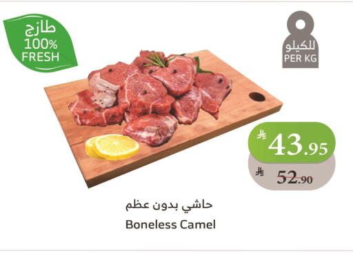 Camel meat available at Al Raya in KSA, Saudi Arabia, Saudi - Jeddah