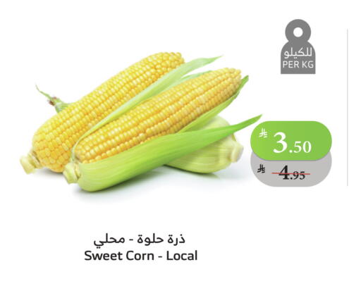 available at الراية in مملكة العربية السعودية, السعودية, سعودية - ينبع