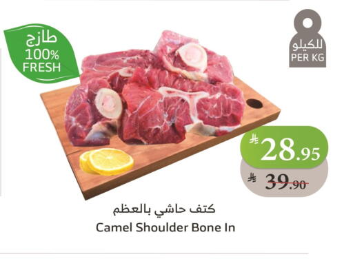 Camel meat available at Al Raya in KSA, Saudi Arabia, Saudi - Jeddah