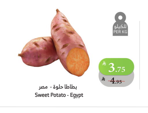 بطاطا حلوة from Egypt available at الراية in مملكة العربية السعودية, السعودية, سعودية - تبوك
