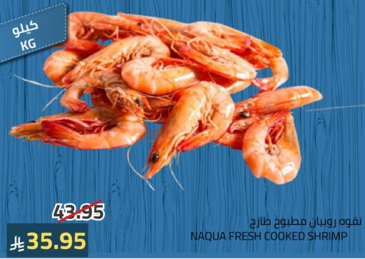 available at أسواق أسترا in مملكة العربية السعودية, السعودية, سعودية - تبوك