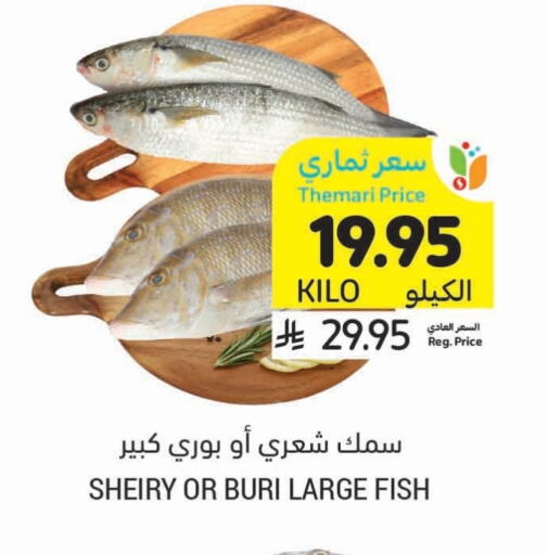 available at أسواق التميمي in مملكة العربية السعودية, السعودية, سعودية - بريدة