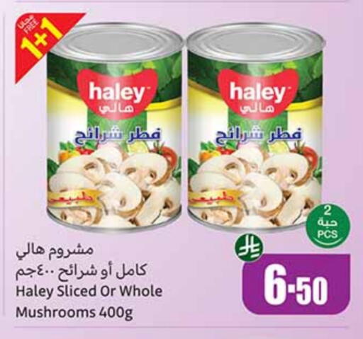 HALEY available at Othaim Markets in KSA, Saudi Arabia, Saudi - Sakaka