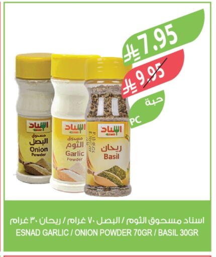 Onion Garlic Basil available at Farm  in KSA, Saudi Arabia, Saudi - Al Khobar