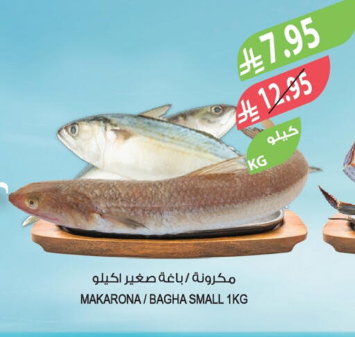 available at Farm  in KSA, Saudi Arabia, Saudi - Sakaka