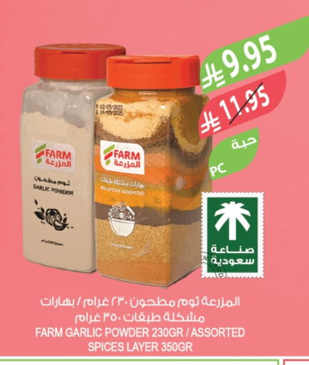 Garlic available at المزرعة in مملكة العربية السعودية, السعودية, سعودية - الخرج