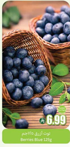 توت available at أسواق عبد الله العثيم in مملكة العربية السعودية, السعودية, سعودية - تبوك