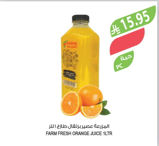 Orange available at المزرعة in مملكة العربية السعودية, السعودية, سعودية - الخرج