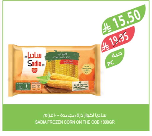 SADIA available at Farm  in KSA, Saudi Arabia, Saudi - Sakaka