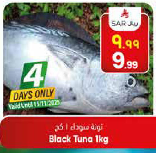 Tuna available at City Flower in KSA, Saudi Arabia, Saudi - Sakaka