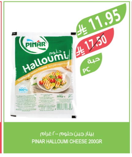 بينار حلومي available at المزرعة in مملكة العربية السعودية, السعودية, سعودية - سكاكا