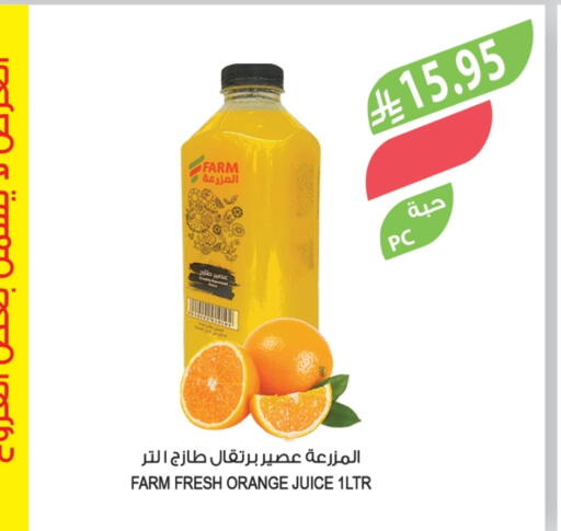 Orange available at Farm  in KSA, Saudi Arabia, Saudi - Tabuk