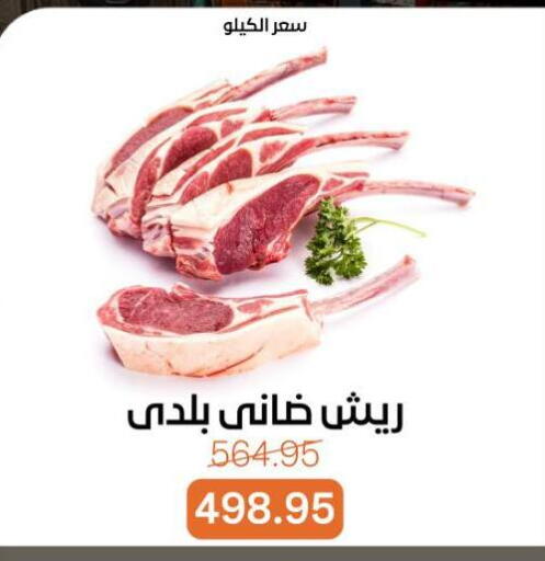 available at جملة ماركت in Egypt - القاهرة