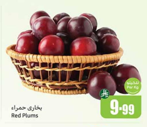 برقوق available at أسواق عبد الله العثيم in مملكة العربية السعودية, السعودية, سعودية - خميس مشيط