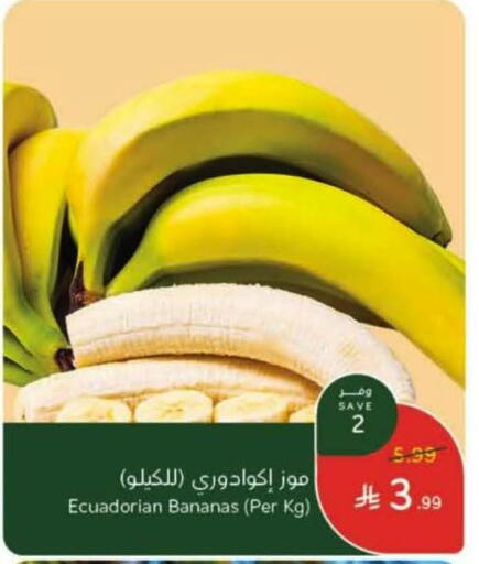 موز from Ecuador available at هايبر بنده in مملكة العربية السعودية, السعودية, سعودية - تبوك