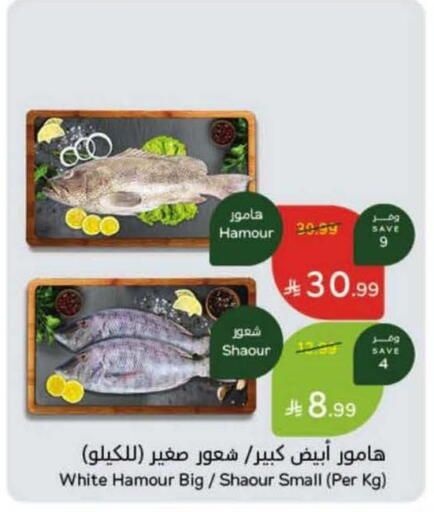 available at هايبر بنده in مملكة العربية السعودية, السعودية, سعودية - بريدة