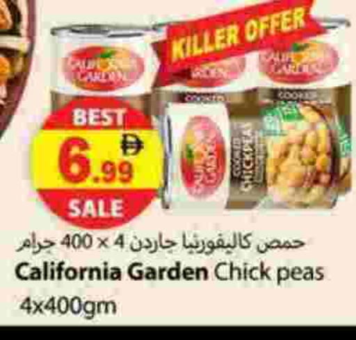 كاليفورنيا جاردن حمص available at زين مارت سوبرماركت in الإمارات العربية المتحدة , الامارات - رَأْس ٱلْخَيْمَة
