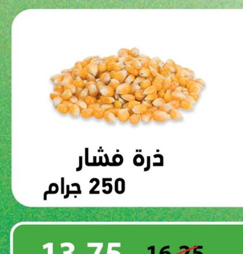 available at بنده in Egypt - القاهرة