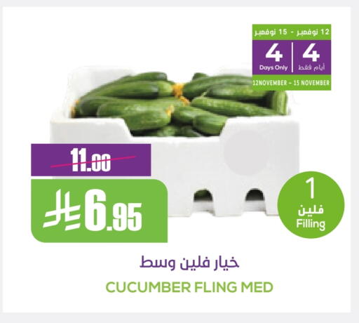 Cucumber available at Sapt in KSA, Saudi Arabia, Saudi - Buraidah