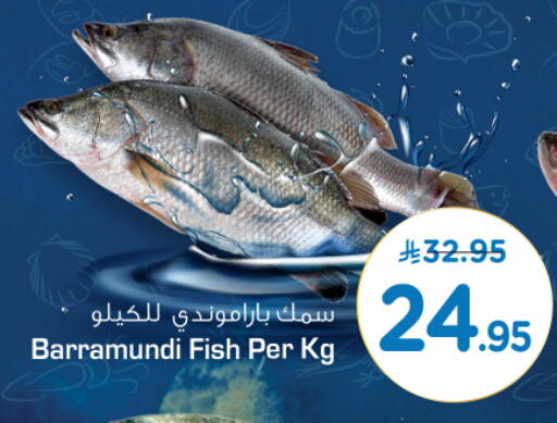 available at نستو in مملكة العربية السعودية, السعودية, سعودية - الخرج