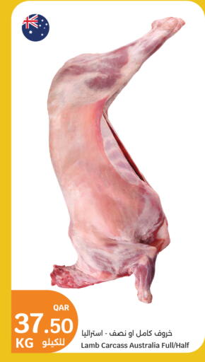 Mutton / Lamb available at City Hypermarket in Qatar - Doha