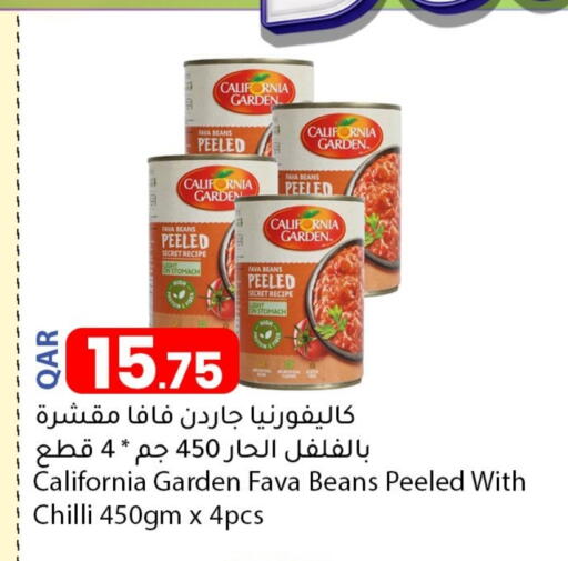 CALIFORNIA Fava Beans available at Dana Market in Qatar - Al Shamal