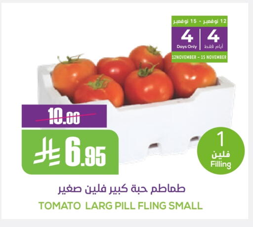 Tomato available at Sapt in KSA, Saudi Arabia, Saudi - Buraidah