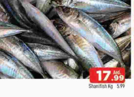 available at المدينة in الإمارات العربية المتحدة , الامارات - الشارقة / عجمان