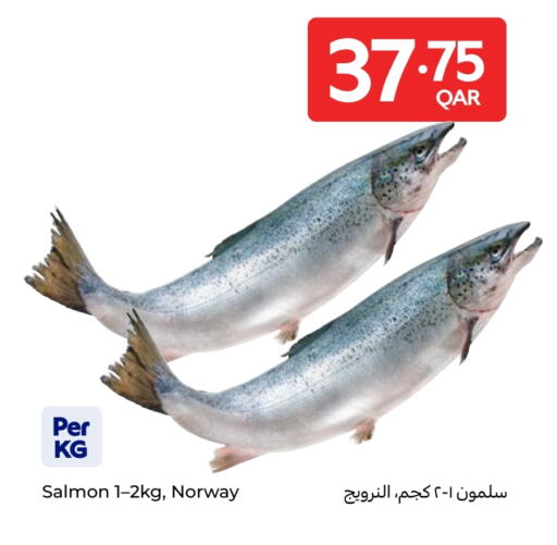 available at Carrefour in Qatar - Doha