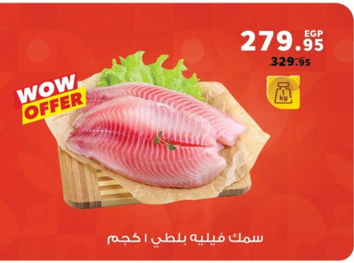available at بنده in Egypt - القاهرة