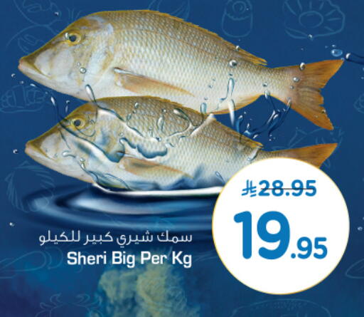 available at نستو in مملكة العربية السعودية, السعودية, سعودية - الخرج