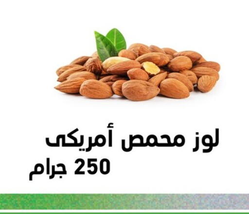 available at بنده in Egypt - القاهرة