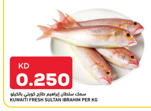 available at Oncost in Kuwait