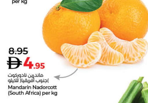 Orange from South Africa available at Lulu Hypermarket in UAE - Dubai