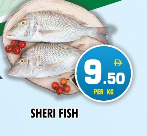 available at نايت تو نايت in الإمارات العربية المتحدة , الامارات - الشارقة / عجمان