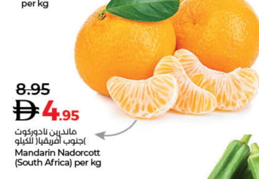 Orange from South Africa available at Lulu Hypermarket in UAE - Dubai